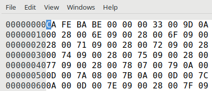 java class magic number