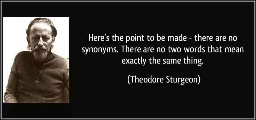 no two words means exactly same thing